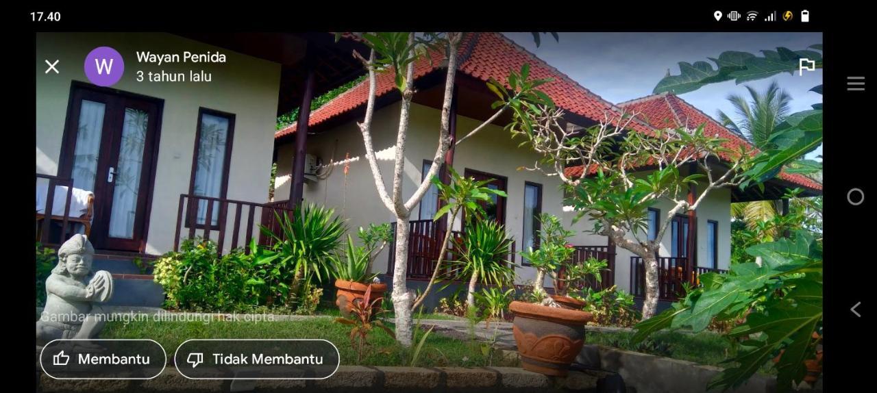 Mount Sea View Bungalow Sakti Eksteriør bilde